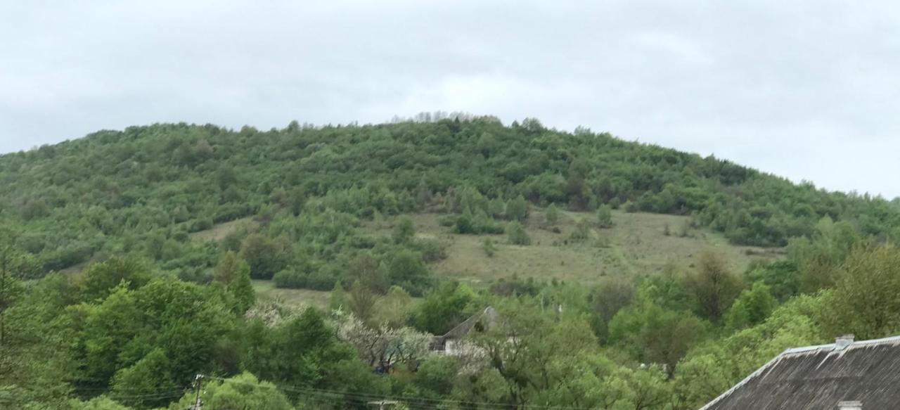 Golubinoye Квітковий Двір المظهر الخارجي الصورة
